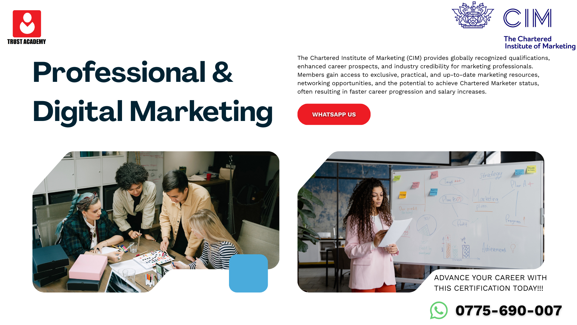 Professional and Digital Marketing