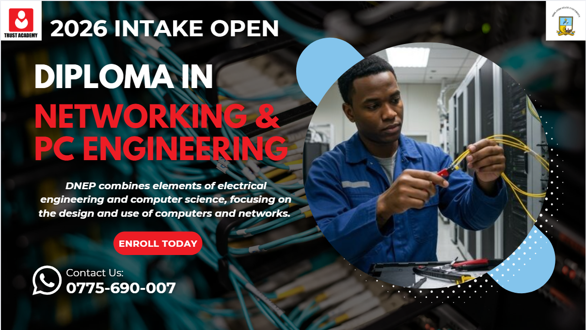 Diploma in Networking and PC Engineering at Trust Academy